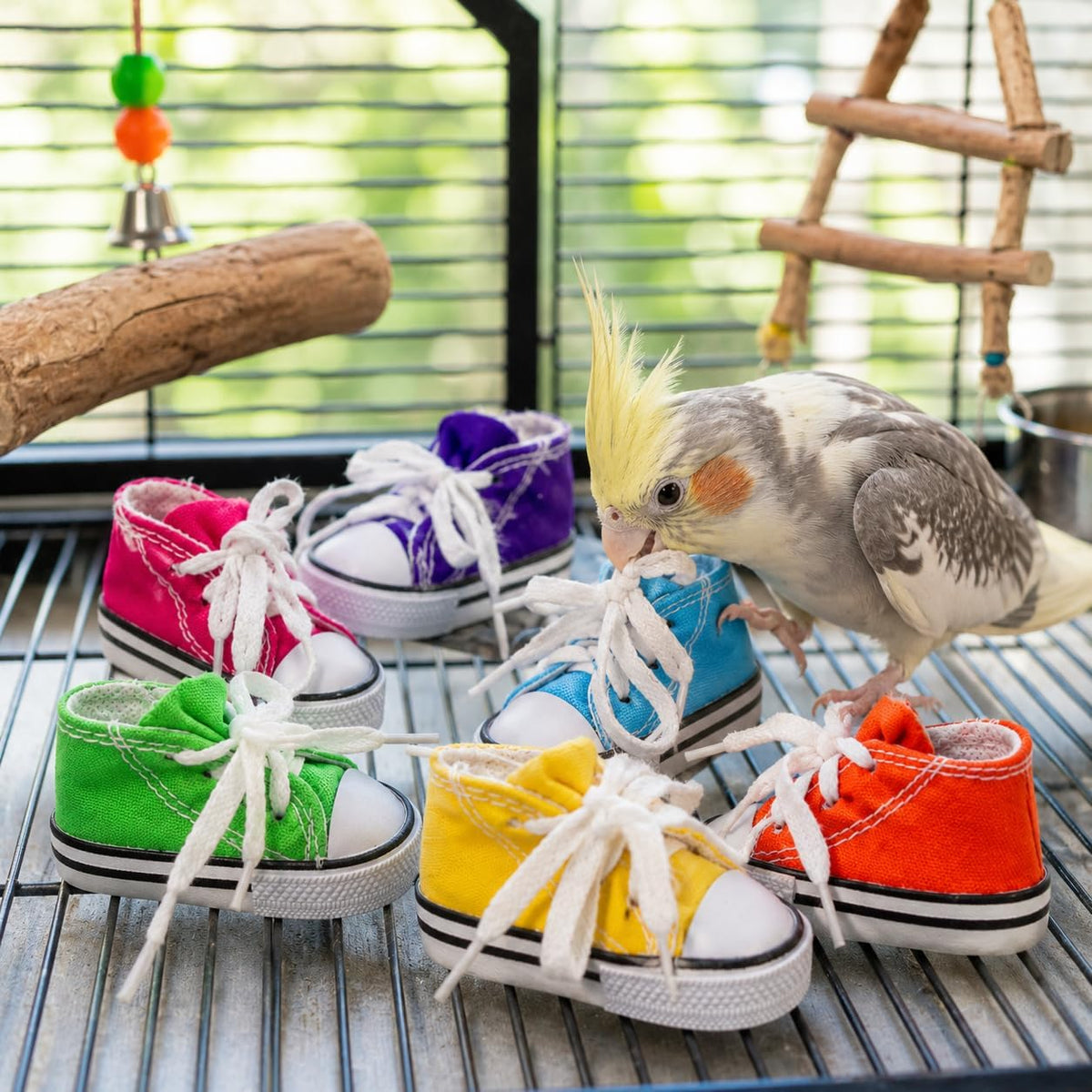 6-Piece Mini Sneaker Parrot Foot Toys & Cage Craft Set