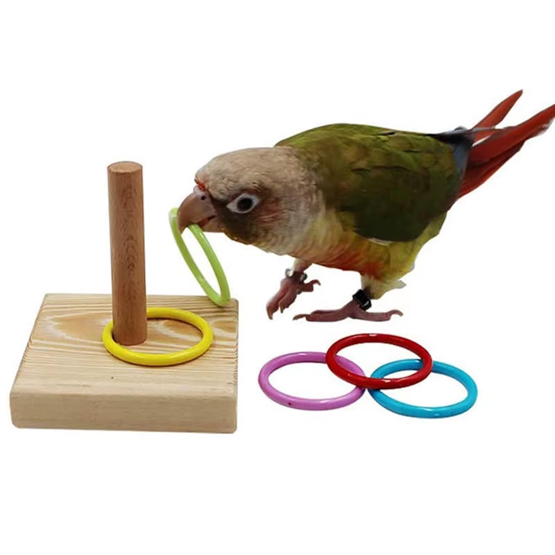 Bird intelligence Training Toy Set (Plastic Rings & Puzzle)