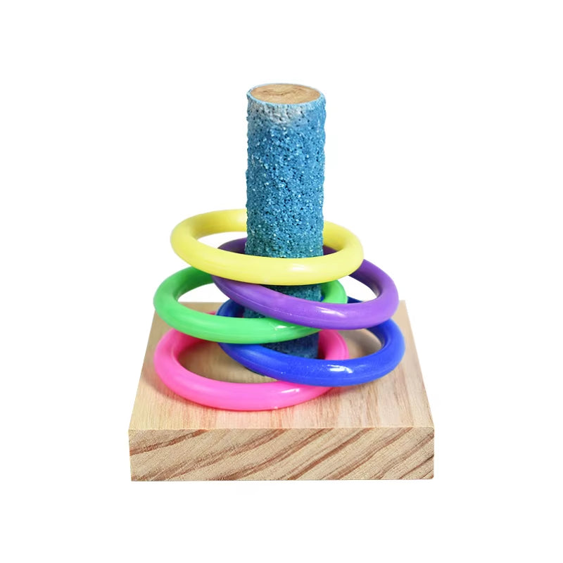 Bird intelligence Training Toy Set (Plastic Rings & Puzzle)