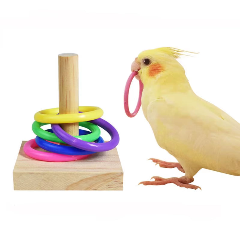 Bird intelligence Training Toy Set (Plastic Rings & Puzzle)