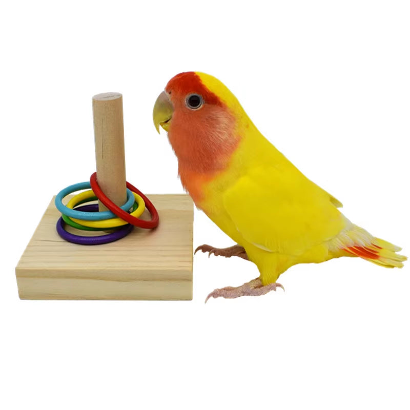 Bird intelligence Training Toy Set (Plastic Rings & Puzzle)