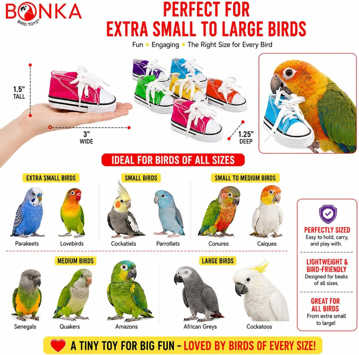 6-Piece Mini Sneaker Parrot Foot Toys & Cage Craft Set